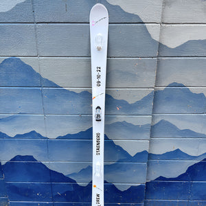 White wedding-themed shot ski with black text against a blue mountain-patterned wall