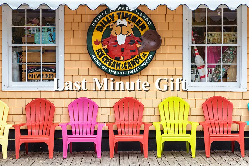 Last-Minute Gift Ideas: Handcrafted Outdoor Chairs for Everyone on Your List