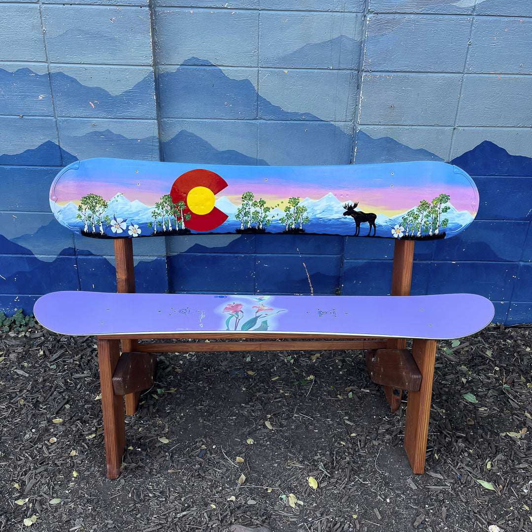 Double Ski/Snowboard Bench with Back – Hand Painted